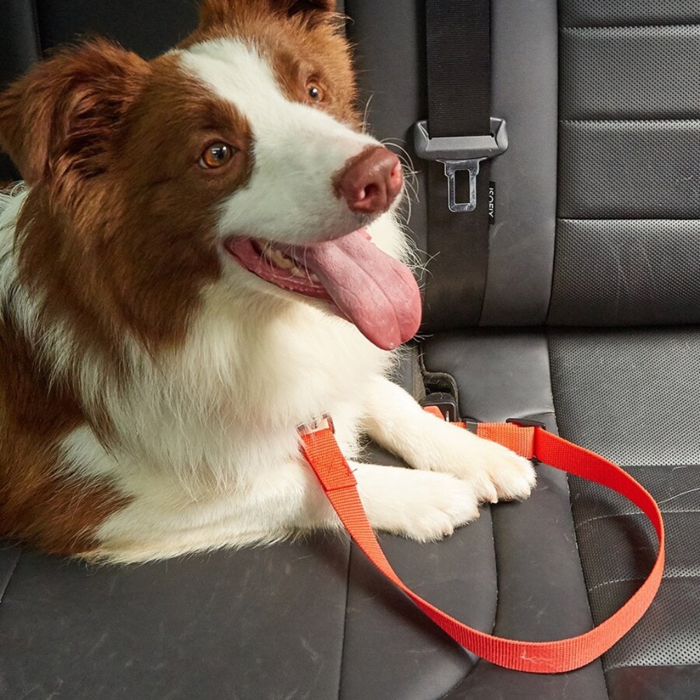 Red Pet Car Leash